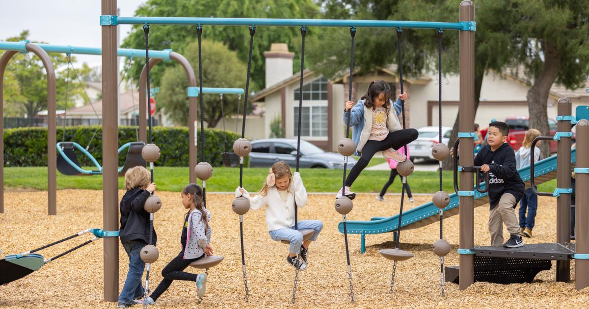 SwiggleKnots™ Bridge - Challenging Playground Rope Bridge