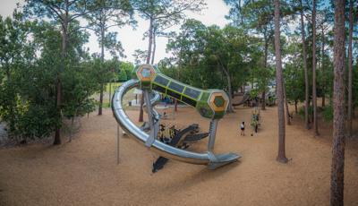 Two tower structures with hexagonal play pods are connected by a enclosed crawl tunnel and tubular stainless steel slides. Tall trees surround the play area.  