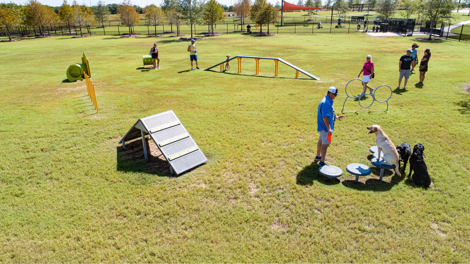 Dog Park Equipment, Northern Texas