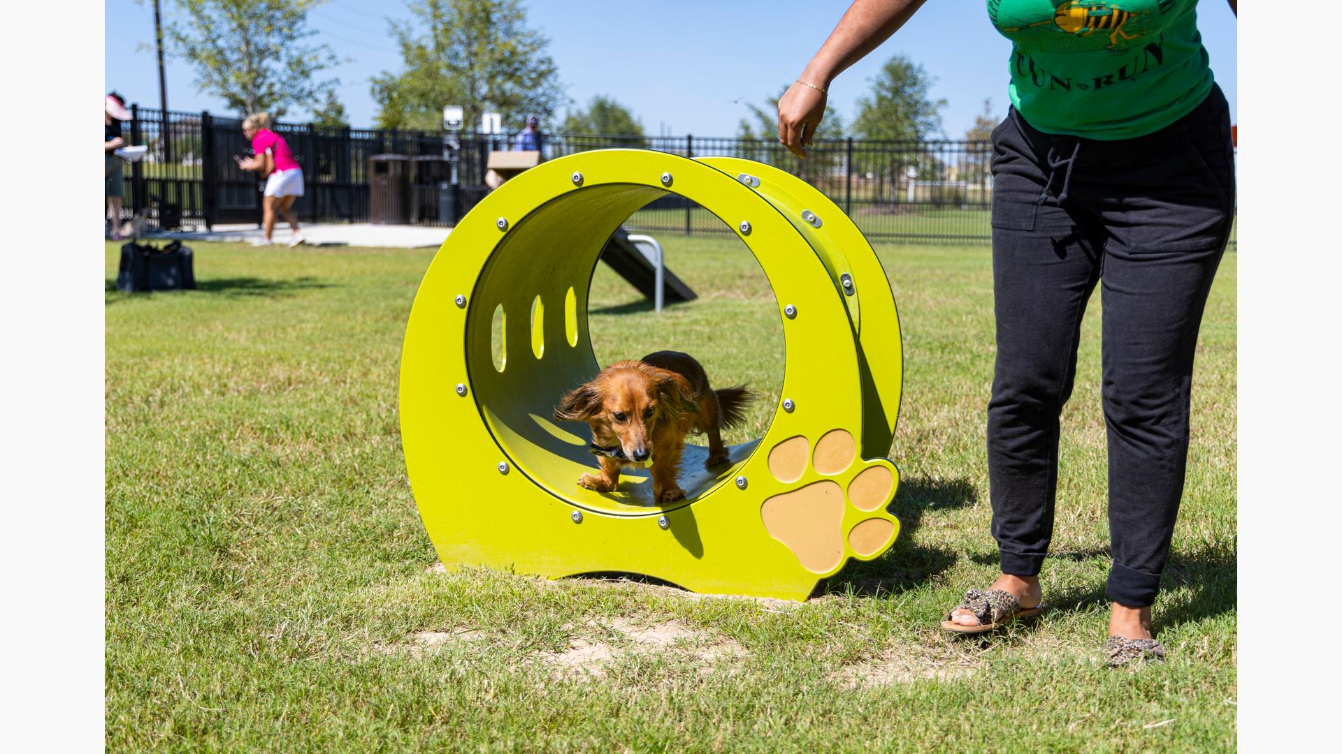 Elyson Commons at Bear Creek - Dog Park Play Equipment