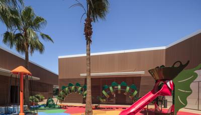 Custom Fire-breathing Dragon themed play structure with climbable scales.