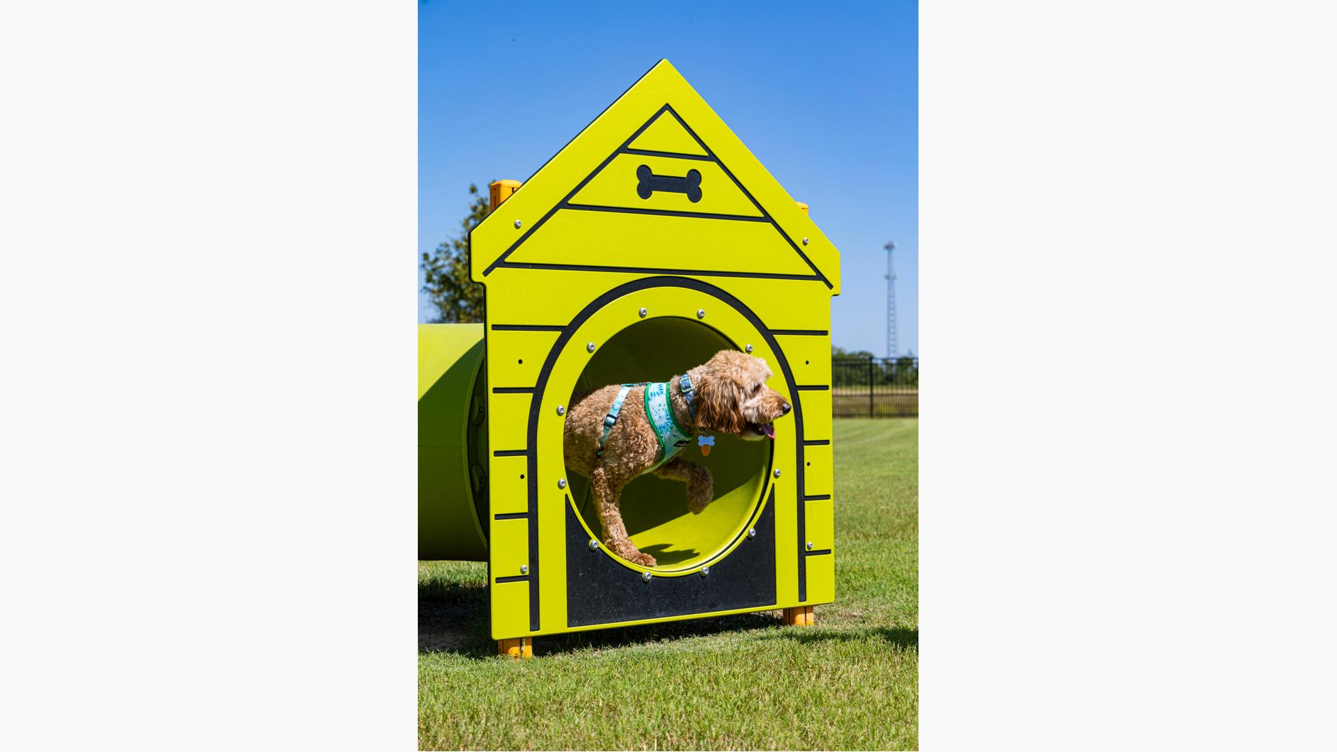 Elyson Commons at Bear Creek - Dog Park Play Equipment