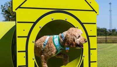 Elyson Commons at Bear Creek - Dog Park Play Equipment