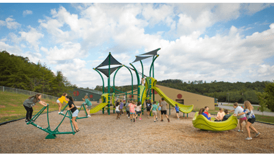 Tree-themed playground with shade over the play structure