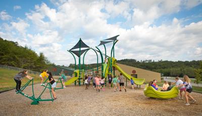 Tree-themed playground with shade over the play structure