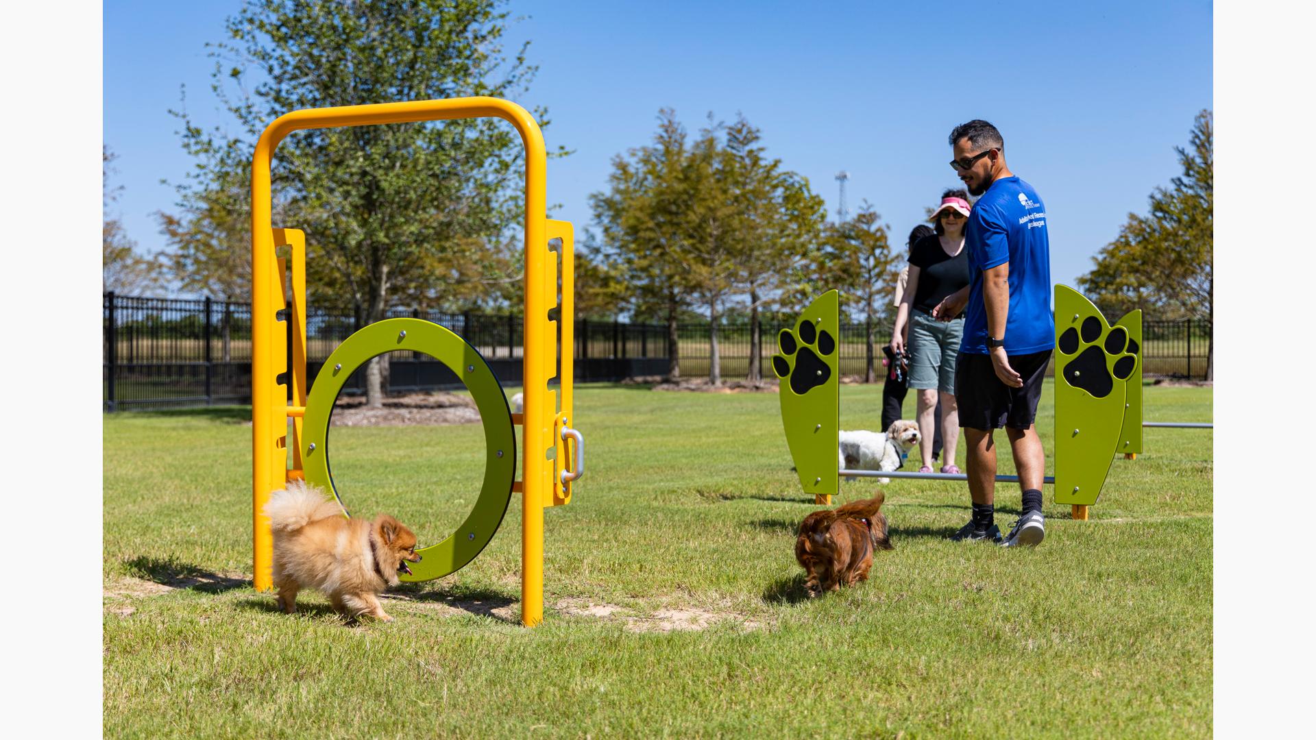 Dog park equipment for climbing, jumping, crawling