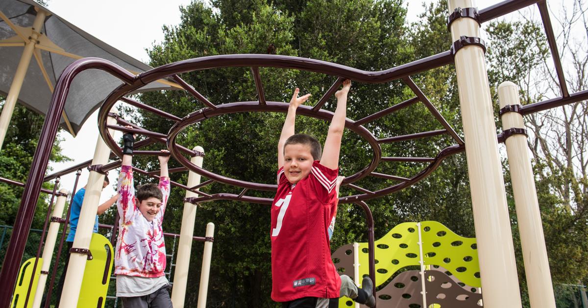 Playground Circular Monkey Bars - Landscape Structures