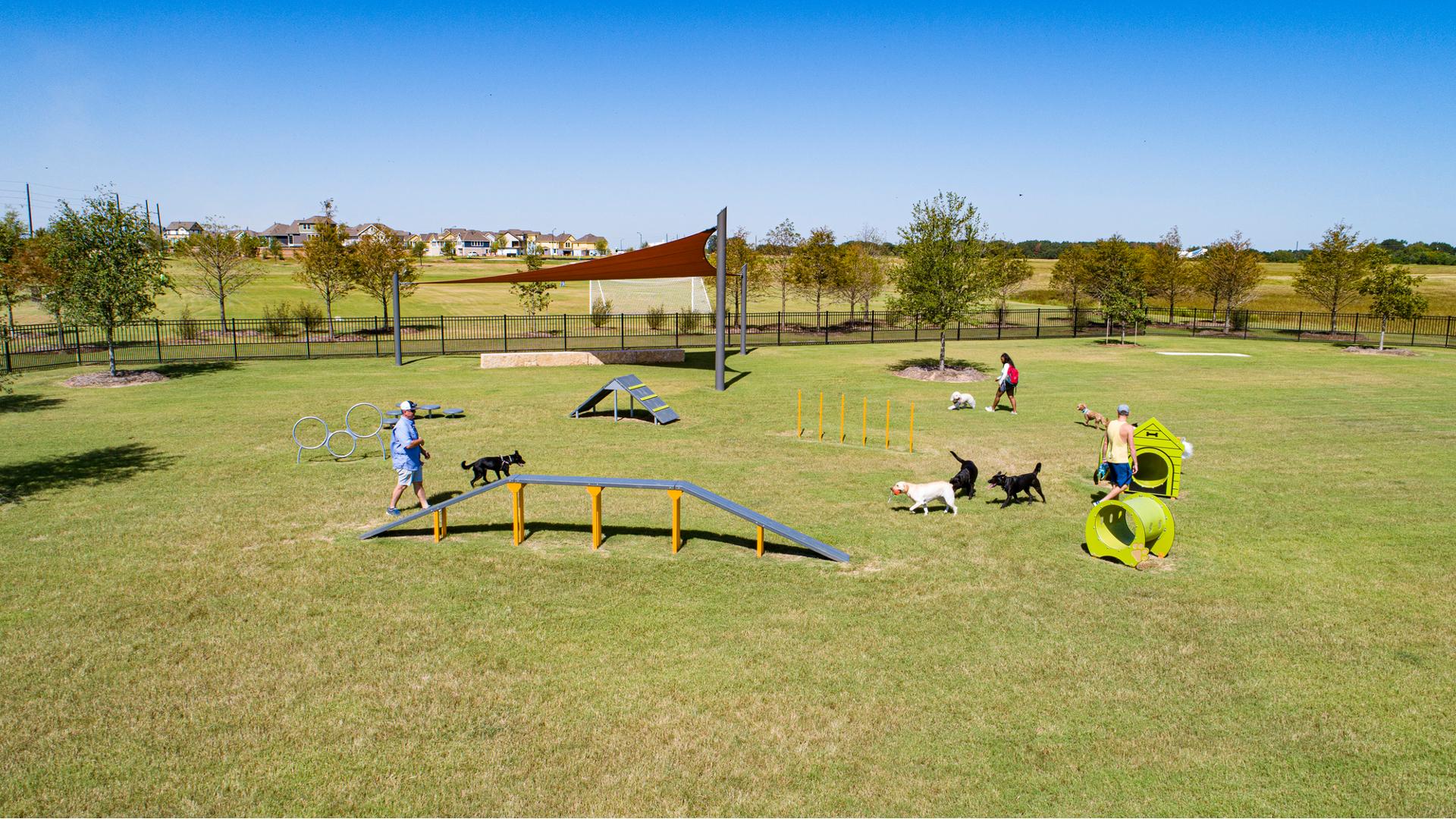 Dog park equipment for climbing, jumping, crawling