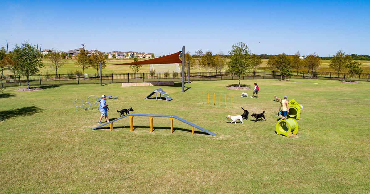 Elyson Commons at Bear Creek Dog Park Play Equipment