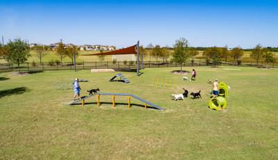 Elevated view of a large open grassy space. Owners and their dogs play on dog obstacle course activities in the fenced in field. A large burnt red triangular shade sail shades a sitting area in the background. 