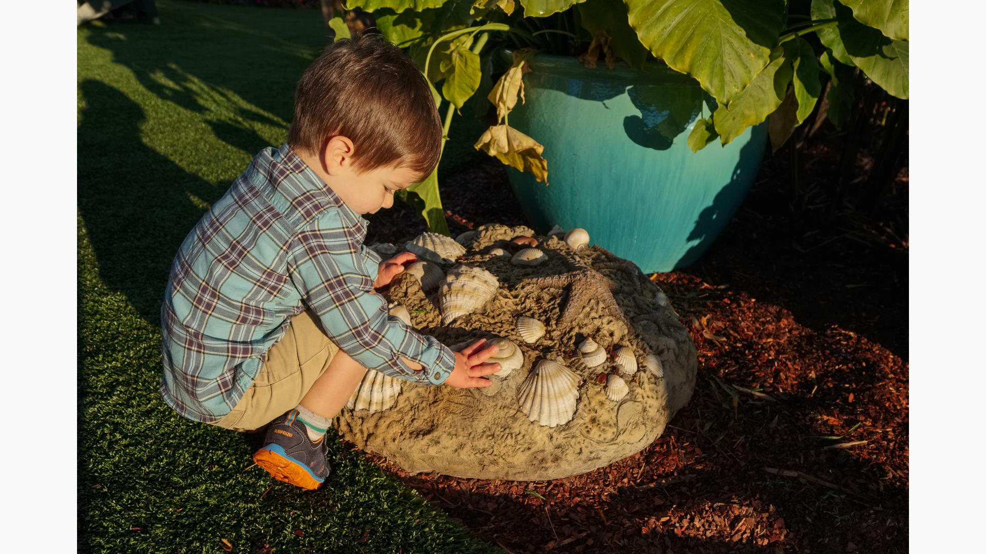 Fossil Digs Sea Shells - Landscape Structures