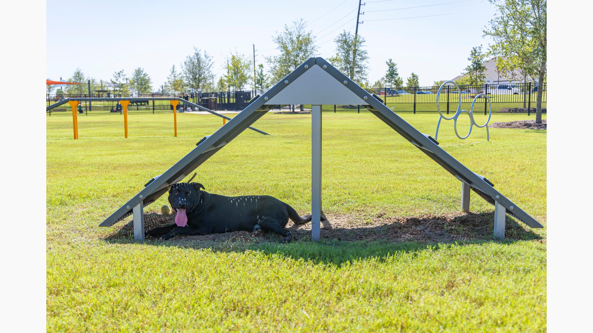 Outdoor dog play ramp best sale