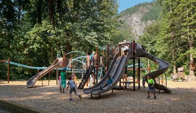 Kids playing on playground with lots of brown slides surrounded by a forest of trees. 