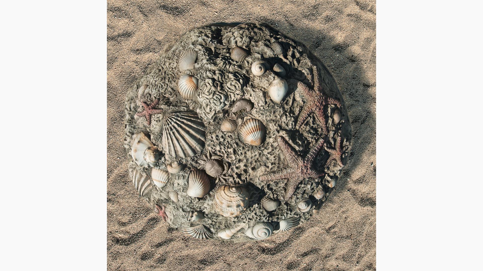 Fossil Digs Sea Shells - Landscape Structures