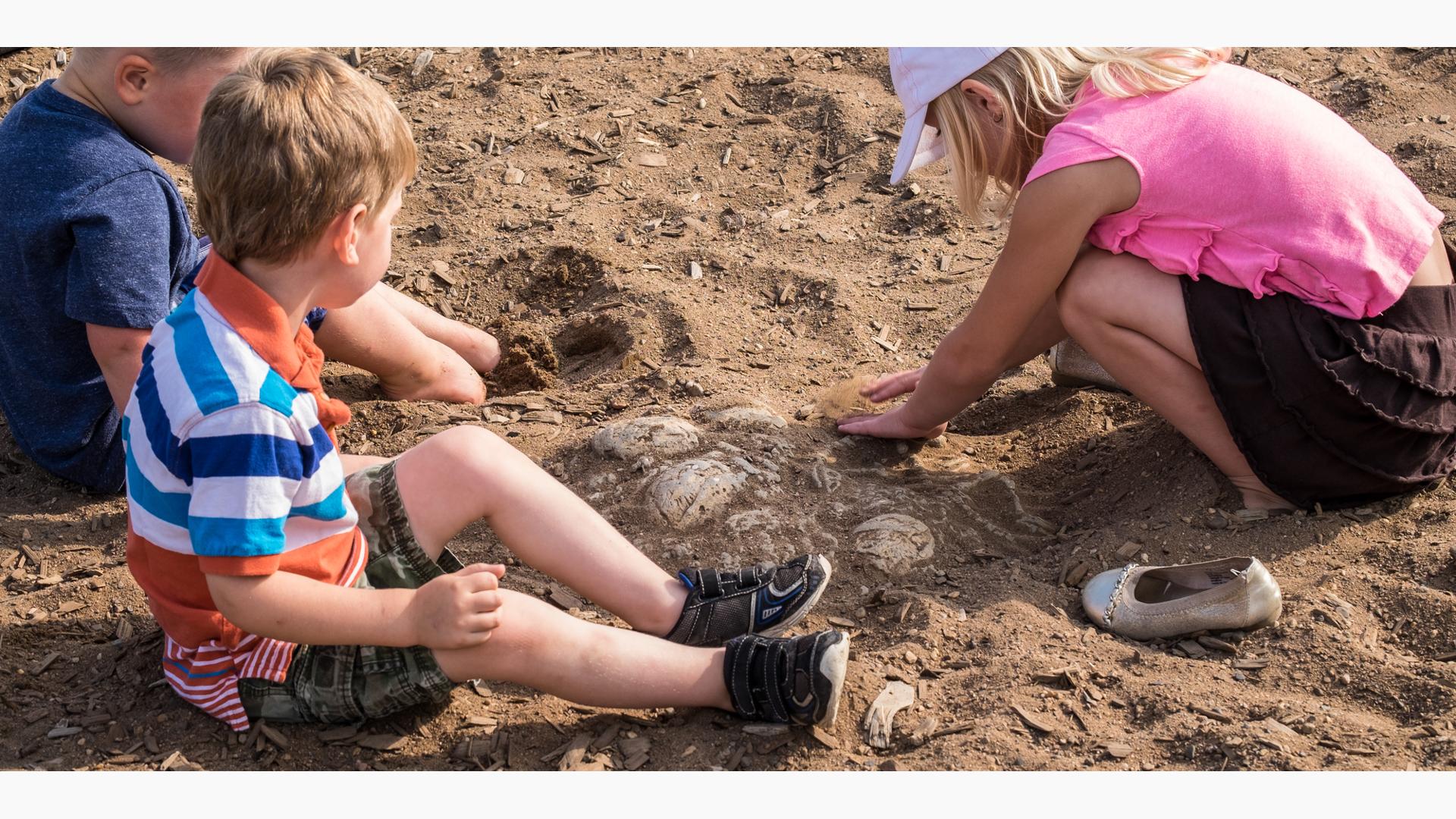 Fossil Digs Dino Eggs