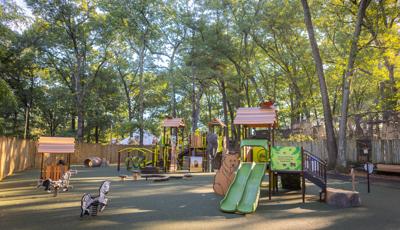 Large mature trees shade a play area with animal themed play structures and other playground activities all surrounded by a wood paneled fence.