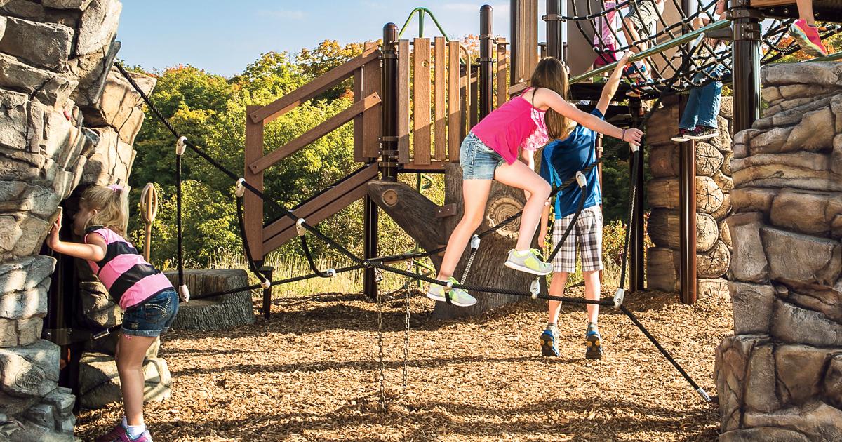 Canyon Corkscrew Climber Net w/ Rock Landscape Structures