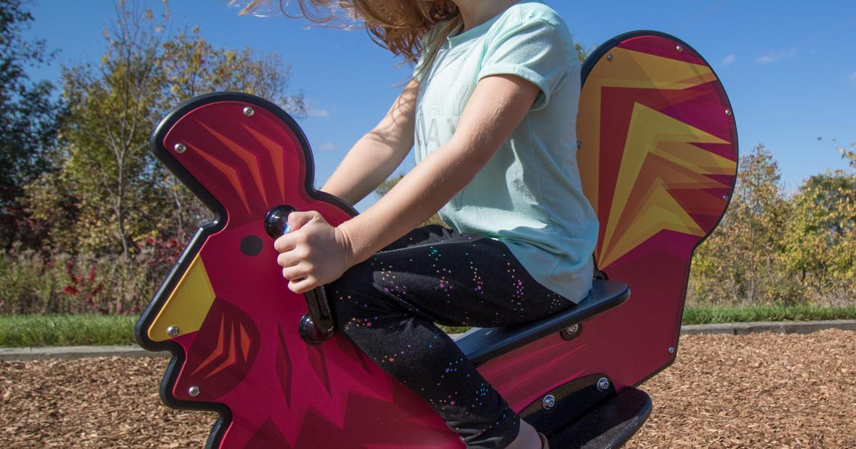DigiRider® Chicken Playground Springer