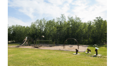 A nature-inspired playground with tall slides and swings surrounded by trees