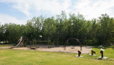 A nature-inspired playground with tall slides and swings surrounded by trees