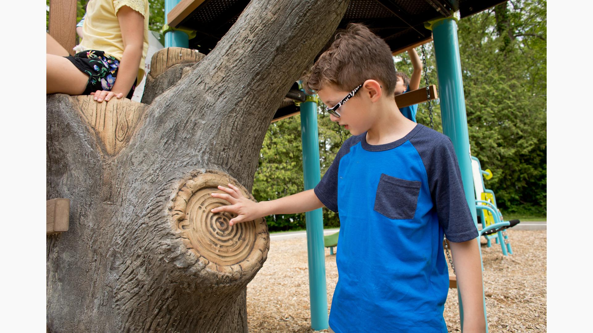 Tree Climbing - TREE CLIMBING CANADA