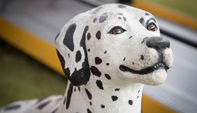 Detail of fire station Dalmatian face