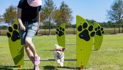 Elyson Commons at Bear Creek - Dog Park Play Equipment