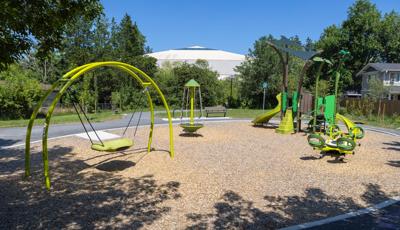 A circle style park with wood chips has a nature themed play structure, a four seater seesaw, multi rider stand up spinner, and a arched swing frame with a large circular swing seat. All the play activities are colored in varying shades of green.
