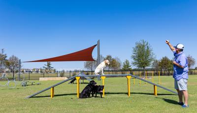 Dog Park Equipment, Northern Texas