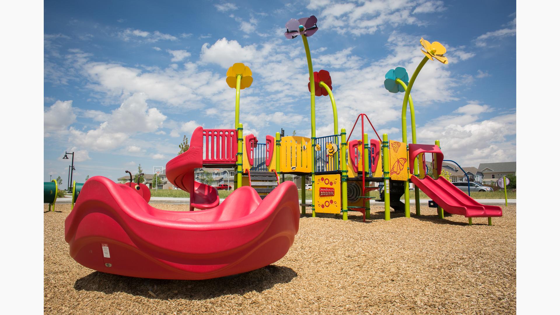 Dog Island Playground System