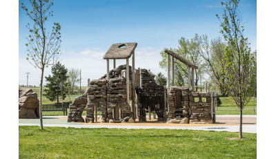 Custom nature-themed play structure that blends in perfectly with the natural surroundings.
