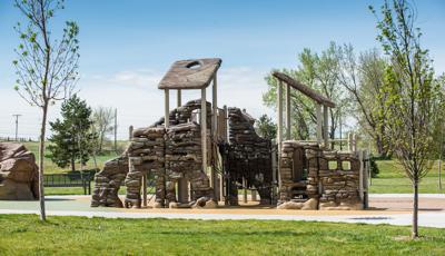 Custom nature-themed play structure that blends in perfectly with the natural surroundings.