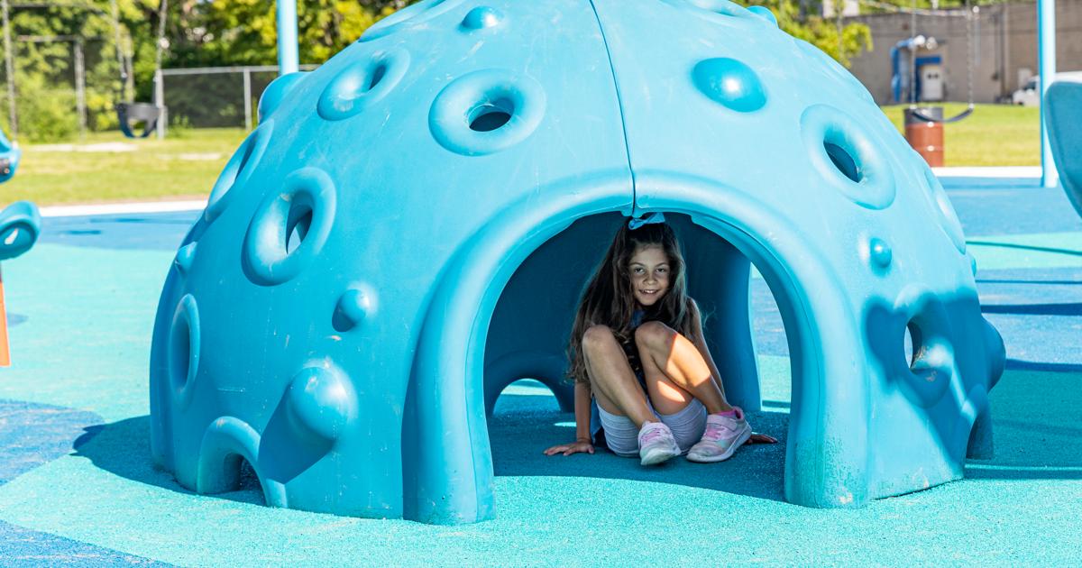 Cozy Dome Playground Climber Landscape Structures