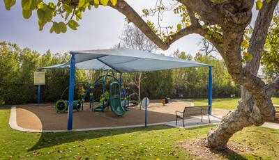 A curvy tree sits off to the side of an outdoor play area with a large shade over a playground  made up of a much of arches and play activities.