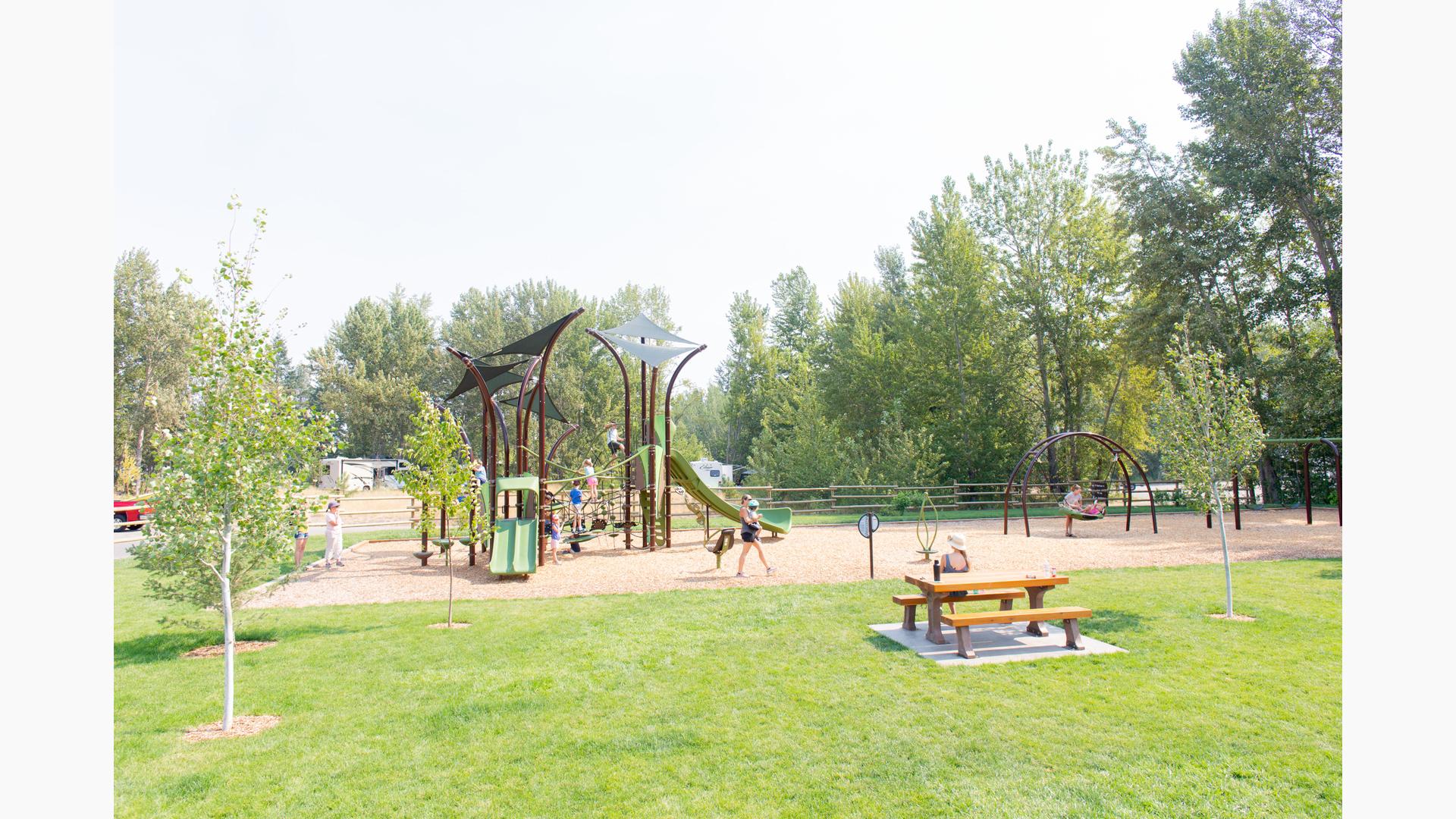 A woman sitting at a picnic table watches as children play all over a tree inspired designed playground.