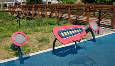 Xylofun and bongos Prairie Creek park