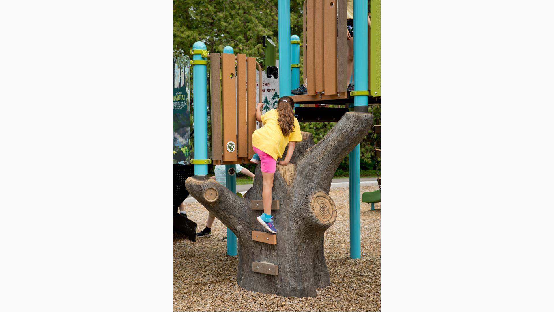 Tree Tops® Compact Nature Playground - Landscape Structures