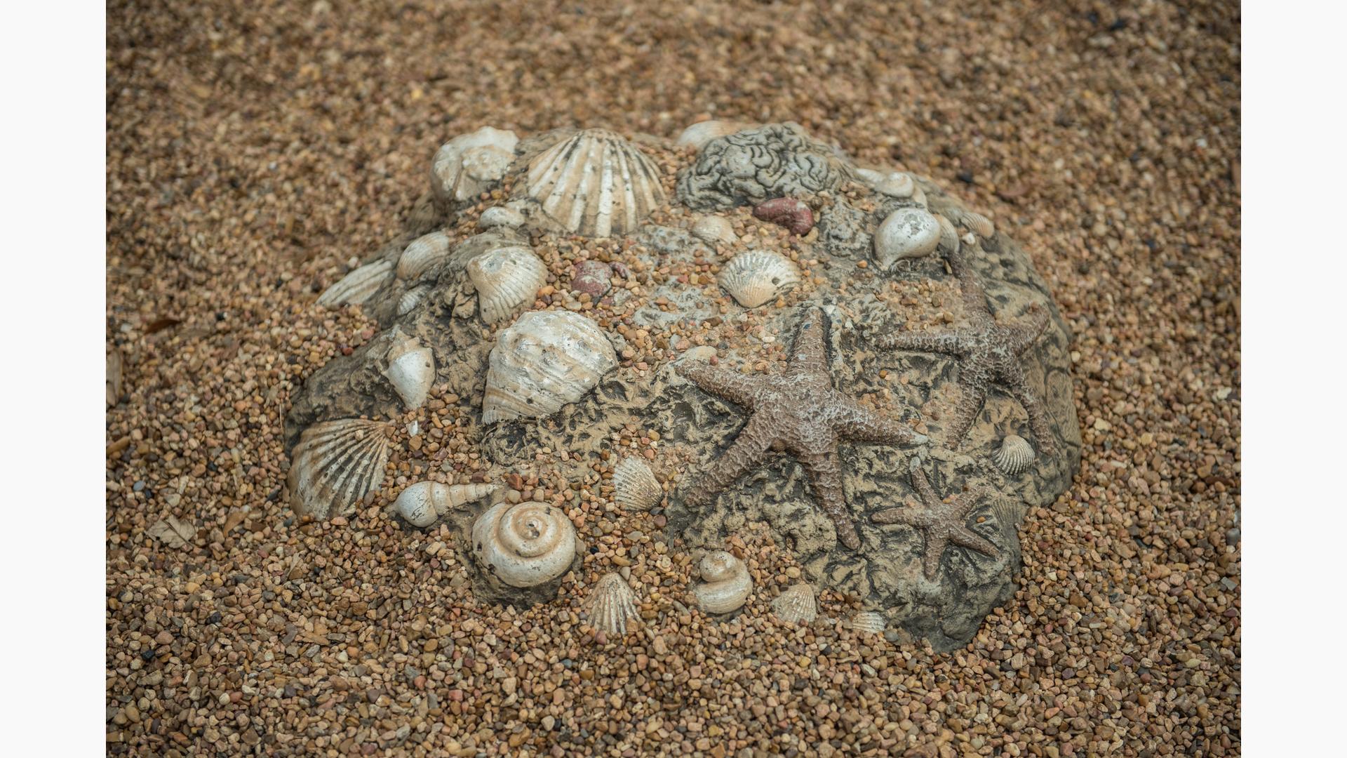 Fossil Digs Sea Shells - Landscape Structures
