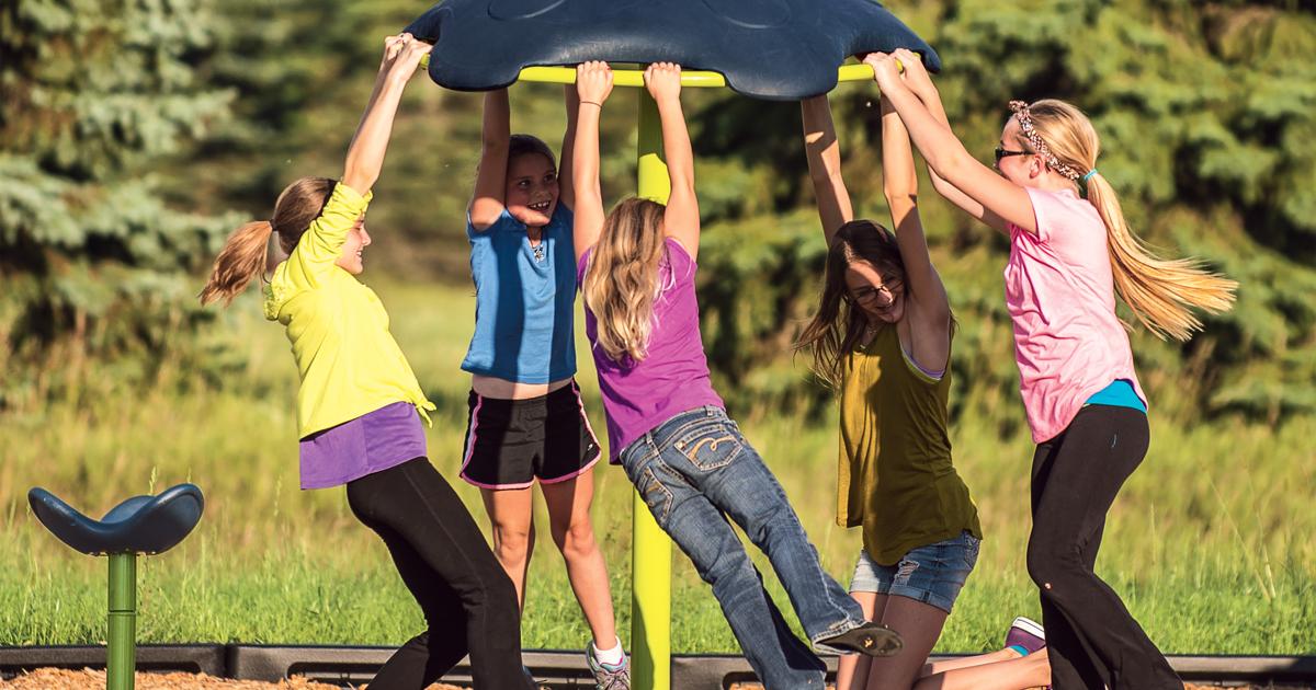 Flywheel® Spinner Freestanding Landscape Structures