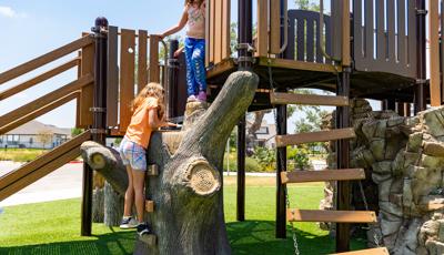 Tree Tops® Compact Nature Playground - Landscape Structures