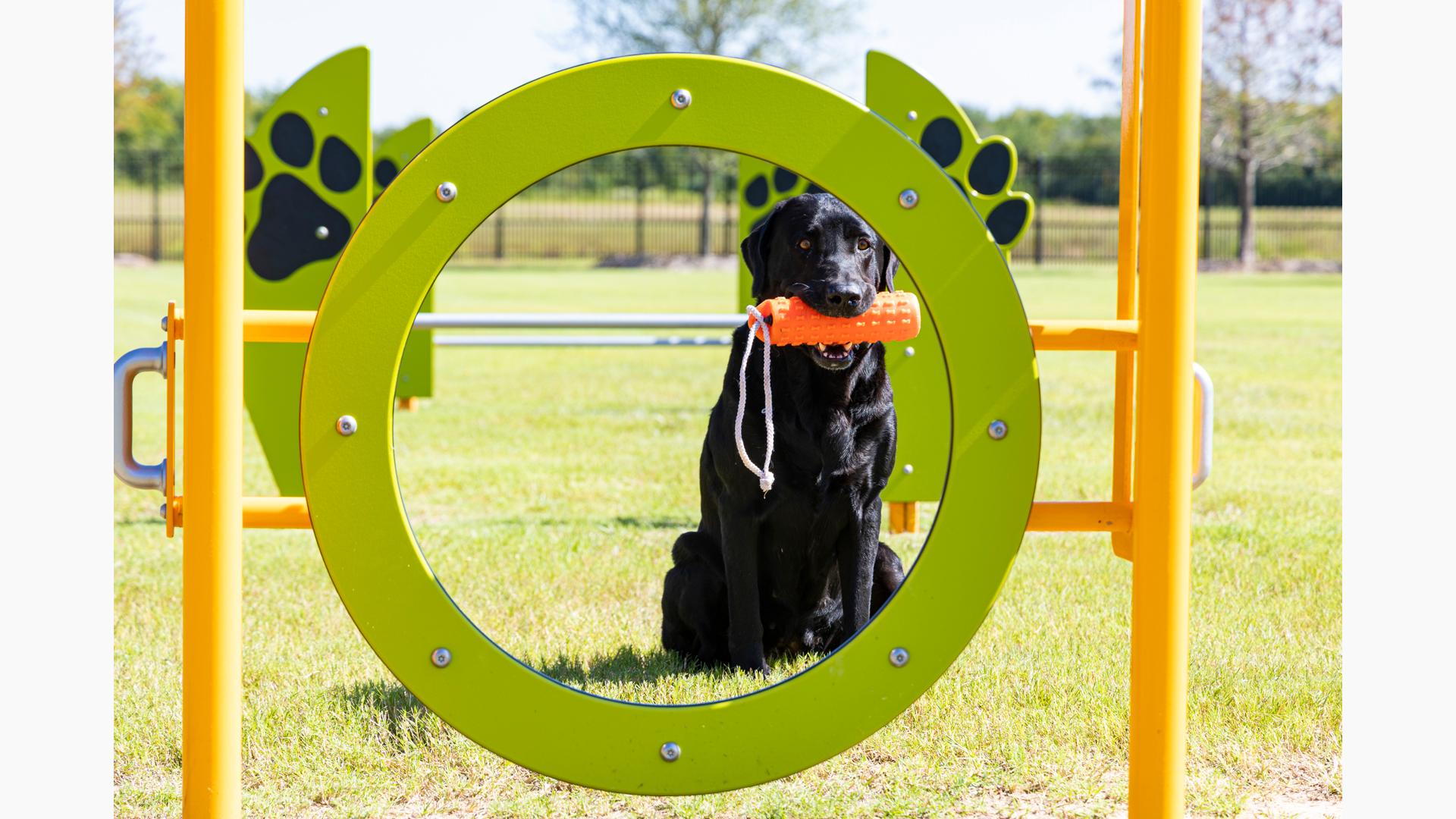 Elyson Commons at Bear Creek - Dog Park Play Equipment